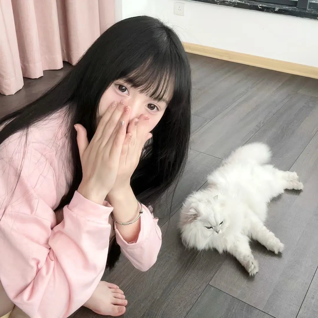 猛虎末路剧情